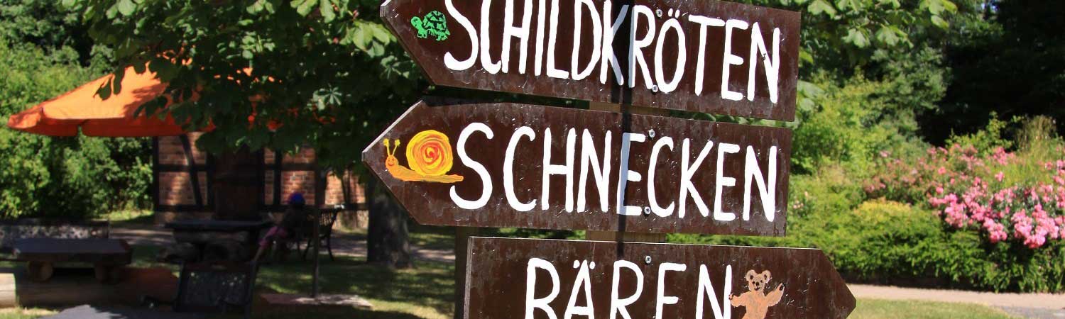 Kinderbetreuung in altersdifferenzierten Gruppen